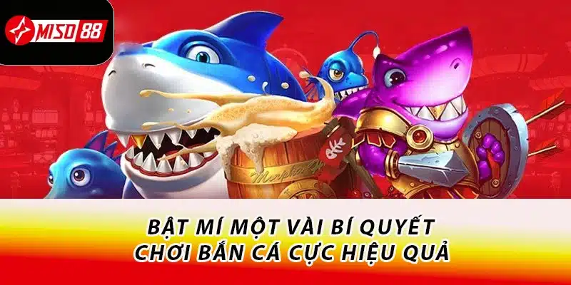 Chinh Phục Sảnh Bắn Cá Miso88 - Nhận Ngay Quà Cực Hời 3 Bật mí một vài bí quyết chơi bắn cá cực hiệu quả