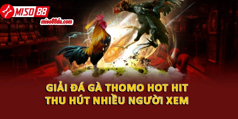 Giải đá gà Thomo hot hit thu hút nhiều người xem 